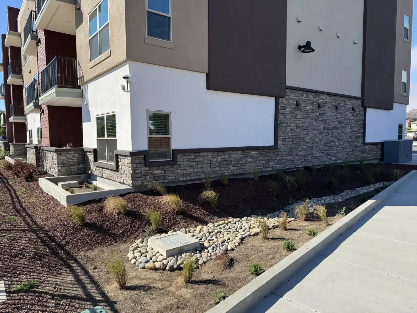 Bioretention stormwater planting along a new multifamily building